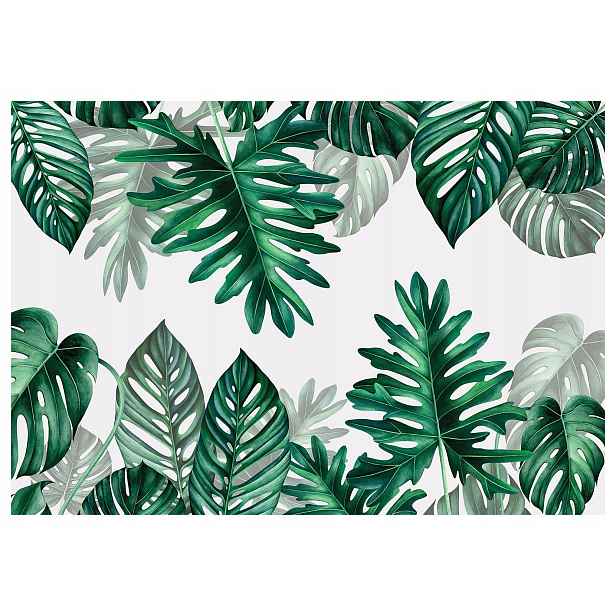 Fototapeta Monstera Filodendron listy vinylová 254x184 lepidlo