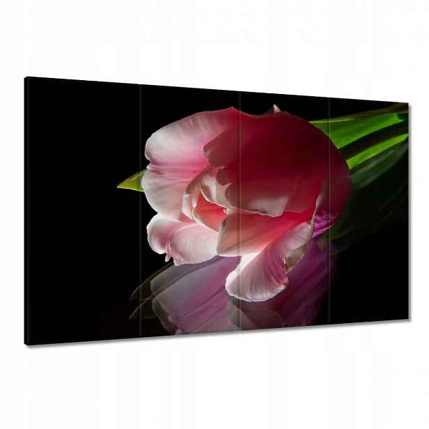 Obrazy 120x80 Růžový květ Tulipán