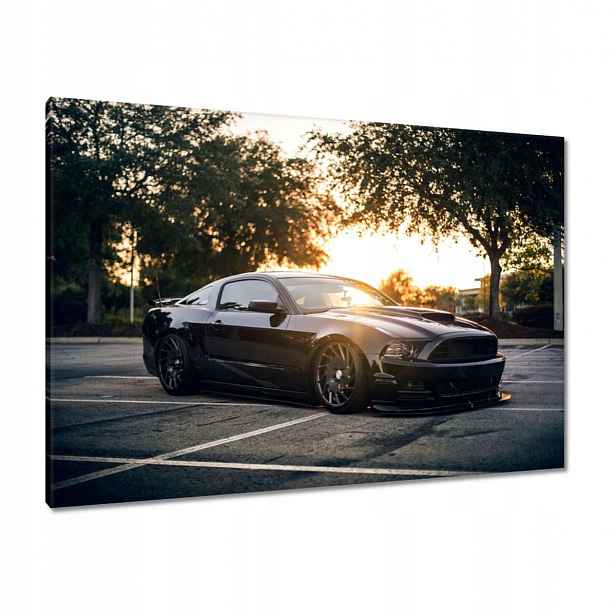 Obrazy 100x70 Černá bestie Mustang