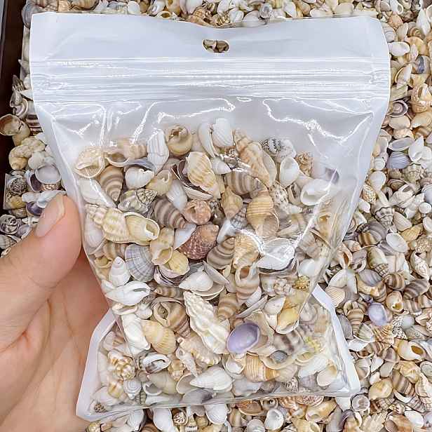 TEMU 250/350/450 ks/balení Multi Mini Různé Vzory a Barvy Mořské Školky Vhodné pro Řemesla/Vyplnění Vázy/Plážní Svatbu/Téma Oceánu/Odolný Materiál