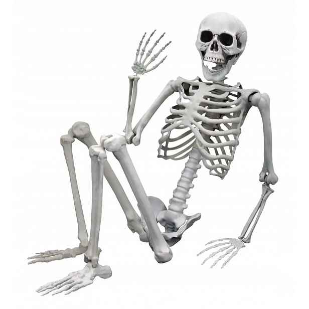 Kostra Life Size 170 CM Temný Dárek Na Halloween A Dekorace