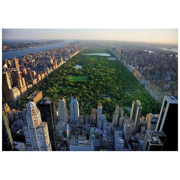 Fototapeta Central Park New York panorama vinylová 368x254 lepidlo