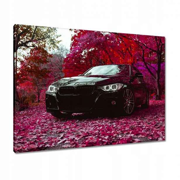 Černé obrazy 80x60 Bmw Podzim