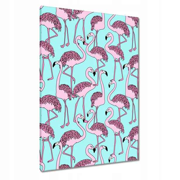 Obrazy 70x100 Růžové Flamini Flamingo