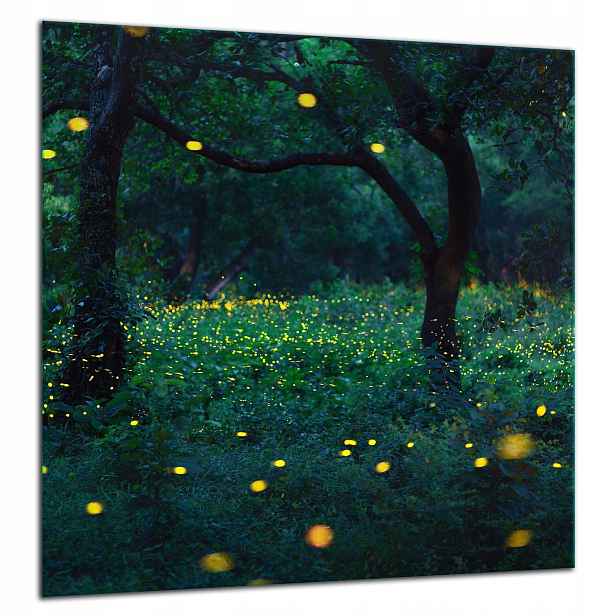 Skleněná Ochranná Deska Panel Lepidlo 60x65 Večer