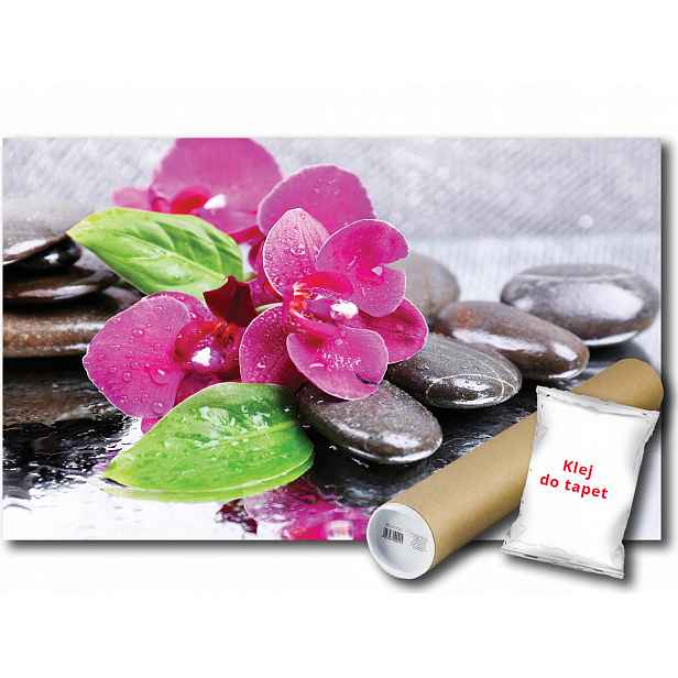 Fototapeta Květy Kameny 25A F2XL 312x219 F3473
