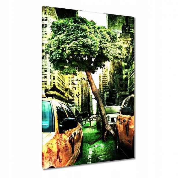 Obrazy 80x120 Zelený New York