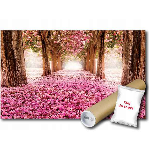 Vinylová fototapeta Park alej stromů růžové květy cesta výhled 368x254