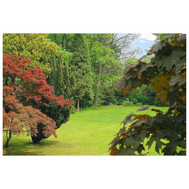 Vliesová fototapeta Zelený park Lesní harmonie oáza 200x140 lepidlo