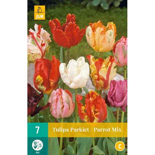 Tulipán Parrot Mix 7 ks