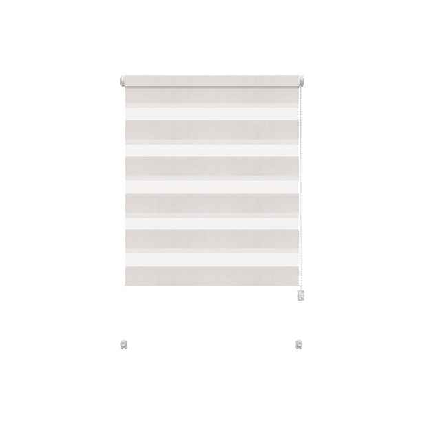 Bílá roleta den a noc 97x150 cm Zebra – Gardinia