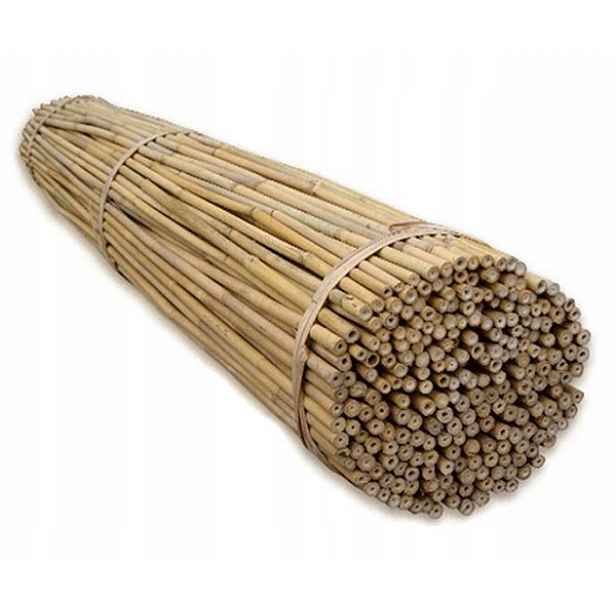 Bambusové tyčky pro podporu rostlin 60 cm Ø 6-8 mm – 1000 ks
