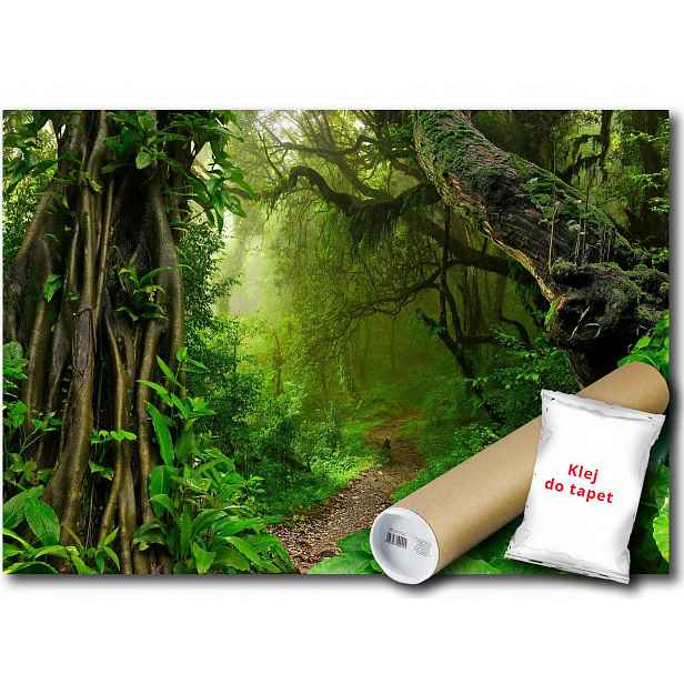 Vinylová fototapeta Les stromy cesta 152x104