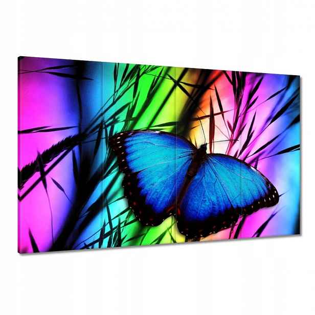 Obrazy 120x80 Modrý motýlek