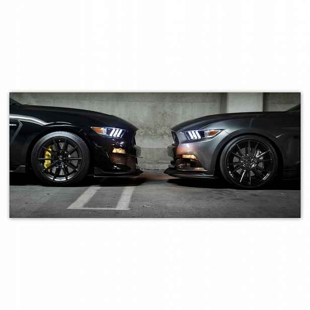 Fototapety flizelina 211x91 Face to face Mustang