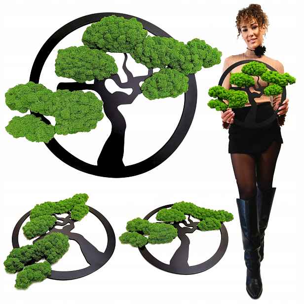Obraz Z Mechu strom štěstí života Mech Chrobotek Bonsai 53 cm Kvalita