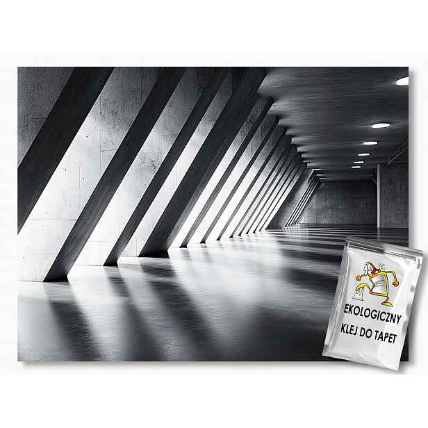 Fototapeta Flizelina Chodba Hala Beton 3D Šedá Hloubka 312x219 130g