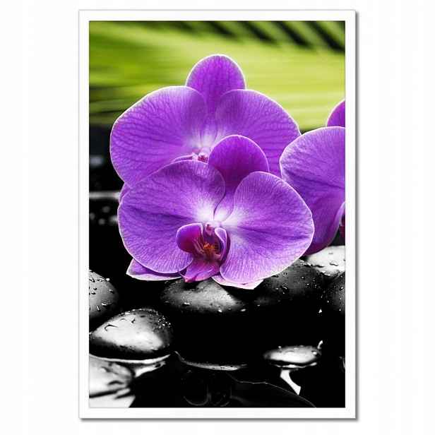 Plakáty v rámu 40x60 Fialové orchideje