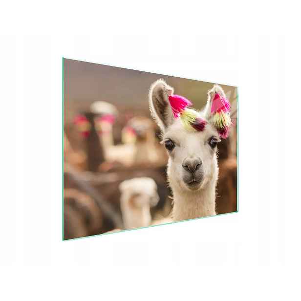 7v1 Skleněná ochranná deska na sporák 70x52 Lama