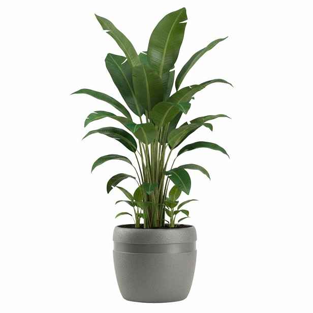 HowHomely Květináč LUNA Classic 32,8 cm antracitový