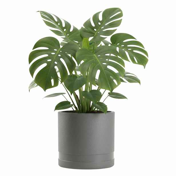 HowHomely Květináč LUNA Cylinder 30,8 cm antracitový