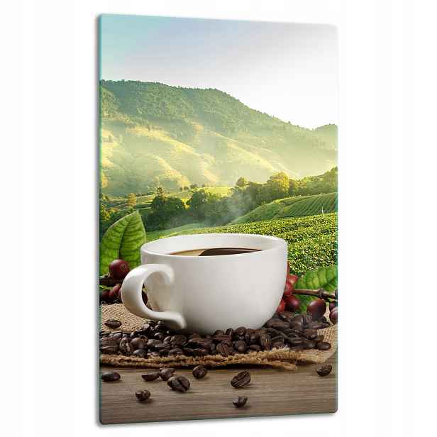 7v1 Skleněná Deska Panel Deska 30x52 Květina