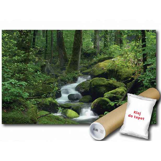 Fototapeta Horský Potok 3B Fxl 208x146 F163