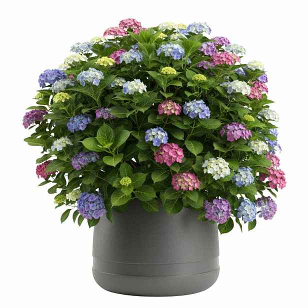 HowHomely Květináč LUNA Vase 42 cm antracitový