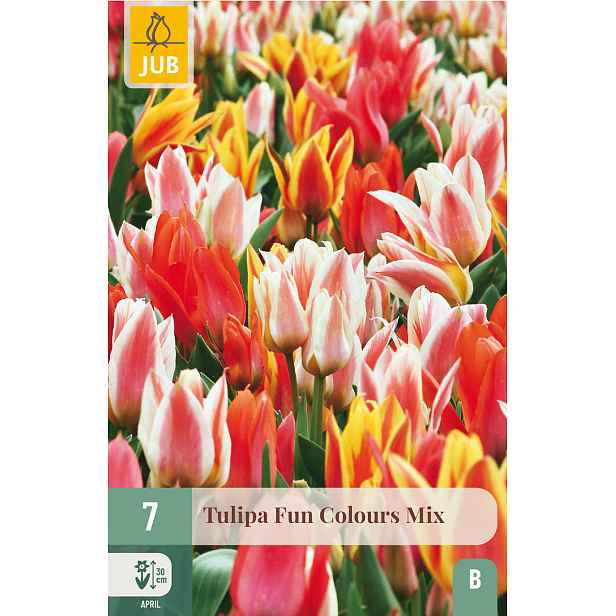 Tulipán Fun Colours 7 ks
