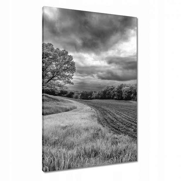 Obrazy 60x90 Černobílé pole