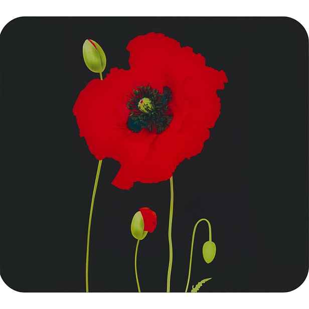 Kryt na zeď u sporáku z tvrzeného skla 50x56 cm Poppy – Maximex