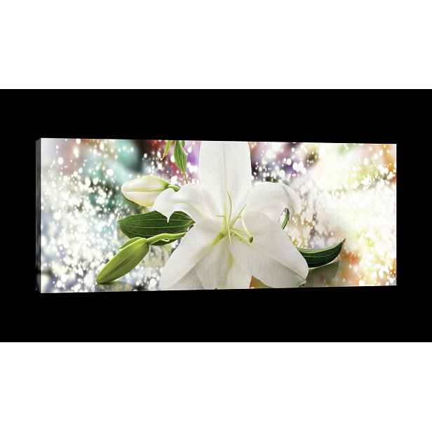Obraz 145x45 Bílá lilie květ pupen zeleň bokeh světlo čistota