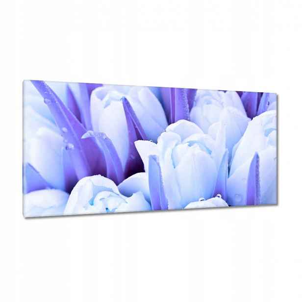 Obrazy 115x55 Modré tulipány