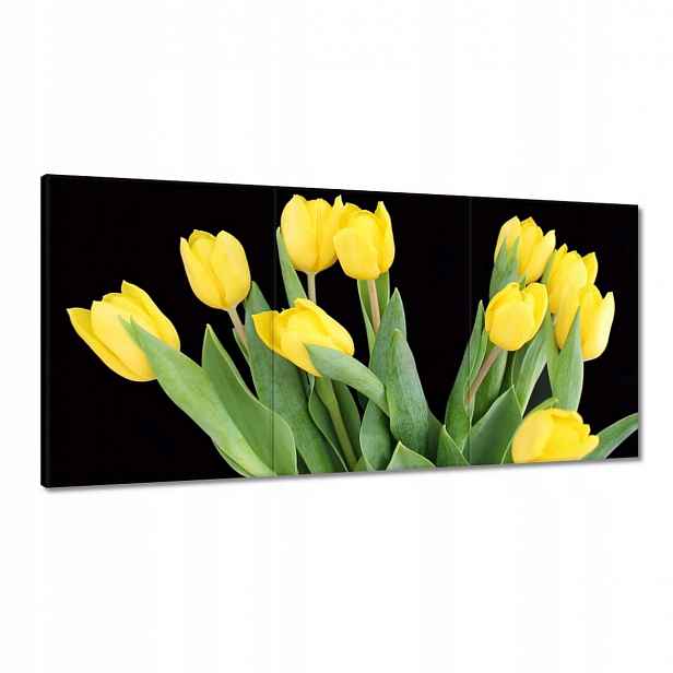 Obrazy 120x60 Žluté tulipány