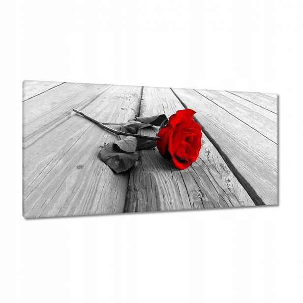 Obrazy 115x55 Červená růže na deskách