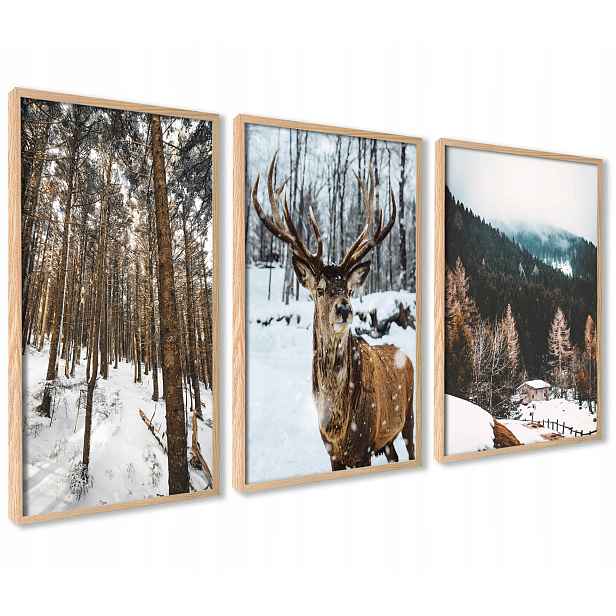Zimní Obrazy Plakáty s Rámy Hnědý Les Sob Jelen Sada 3x 30x40cm