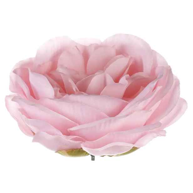 Autronic Pivoňka květ 12 ks KN7026 PINK