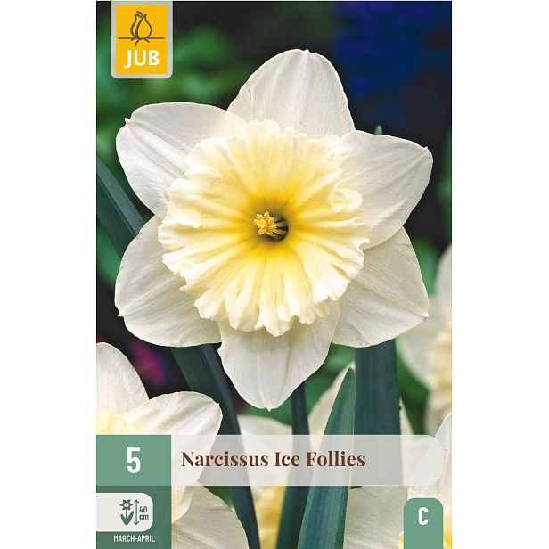 Narcis Ice Follies 5 ks