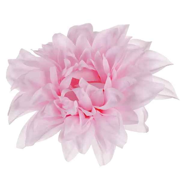 Autronic Jiřina květ 12 ks KN7027 PINK