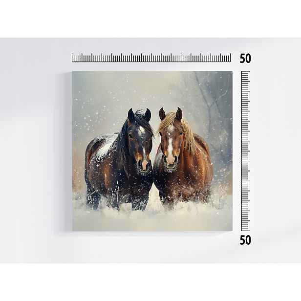 Obraz Na Plátně Canvas Příroda Zima Sníh Kůň Koně Pár 50x50