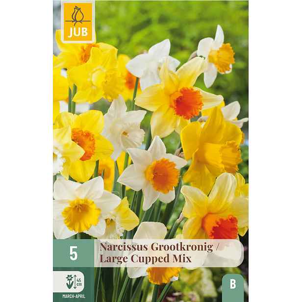 Narcis Large Cupped Mix 5 ks