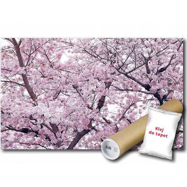 Vinylová fototapeta Jabloně květy větve jaro příroda 152x104