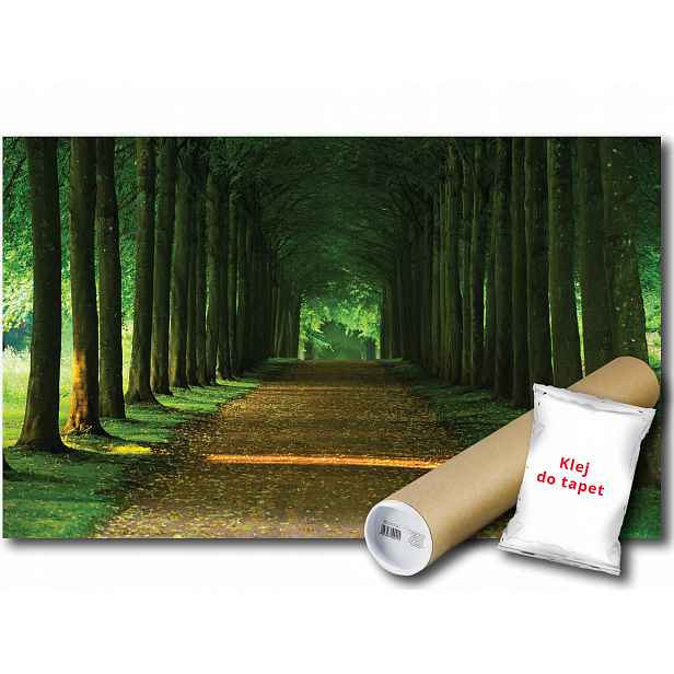 Vinylová Fototapeta Park Les Aleja Stromy Cesta Krajina Pohled 152x104