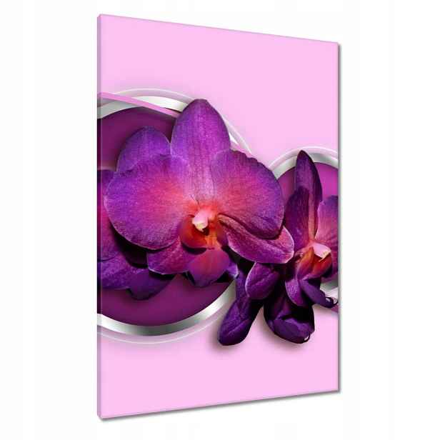 Obrazy 70x100 Fialový orchidej