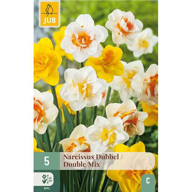 Narcis Double Mix 5 ks