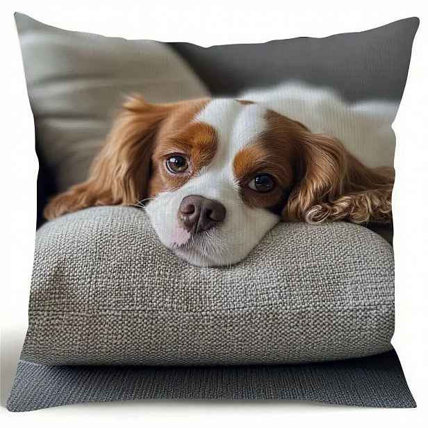 TEMU 1ks Povlak na polštář, Povlak s potiskem King Charles Spaniel, Jednostranný , Dekorační povlak na polštář pro pohovku a domácí dekoraci, Doplněk
