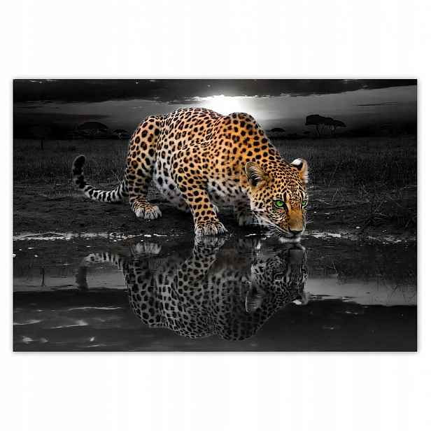 Fototapety 200x135 Na Zeď Gepard Do Ložnice