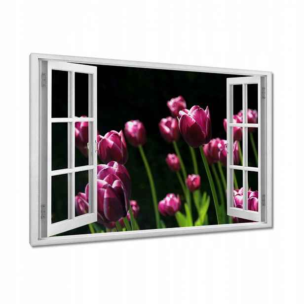 Obrazy 120x80 Fialové tulipány