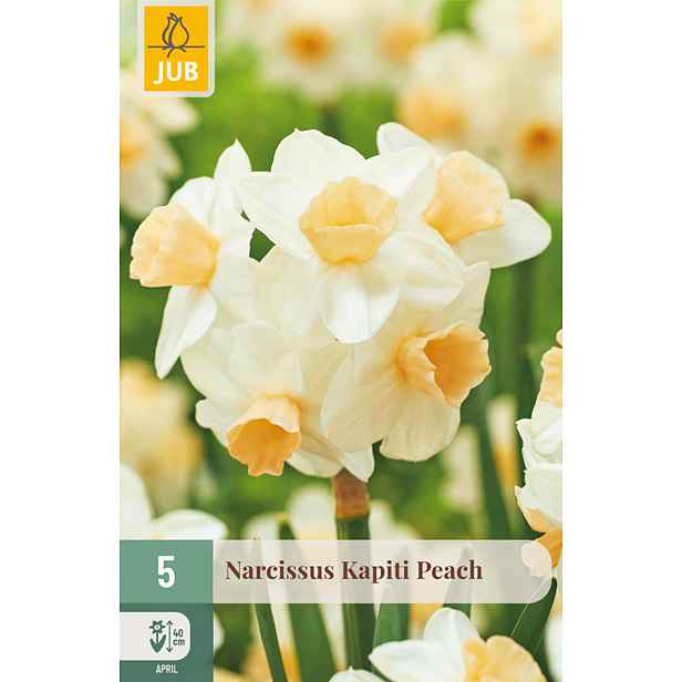 Narcis Kapiti Peach 5 ks