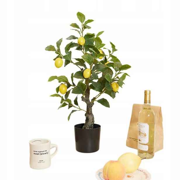 Umělé Citronové Dřevo 60 cm v květináči, zelené